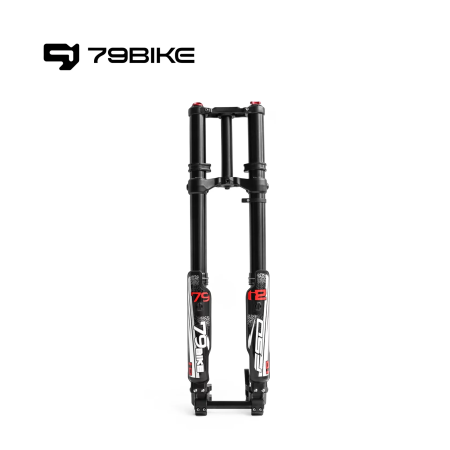Передняя вилка FORK 79Bike