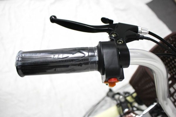 Электровелосипед GreenCamel Трайк-24 (R24 500W 48V 10Ah) синий