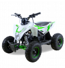 Motax GEKKON 90cc Бензиновый Зеленый