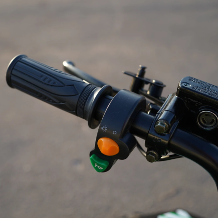 Электроквадроцикл ECO Lizard 48V32AH