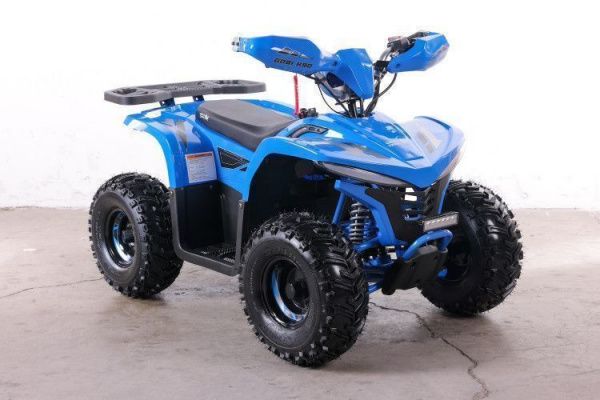 Квадроцикл GreenCamel Gobi K90 (20Ah 36V 750W R7 Дифф) LUX Bluetooth Синий