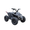 Электроквадроцикл Skyboard CyberTruck Sochi Power 1000W (дифференциальный редуктор)