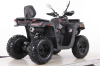 Бензиновый квадроцикл MOTAX GRIZLIK T250 BASIC красный