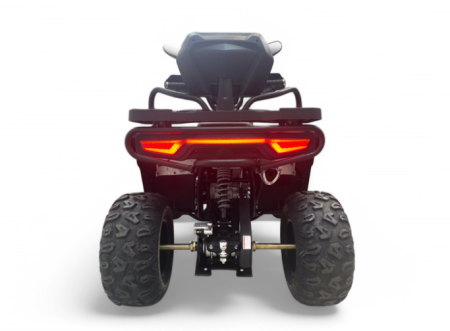Бензиновый квадроцикл MOTAX GRIZLIK W200 LUX зеленый